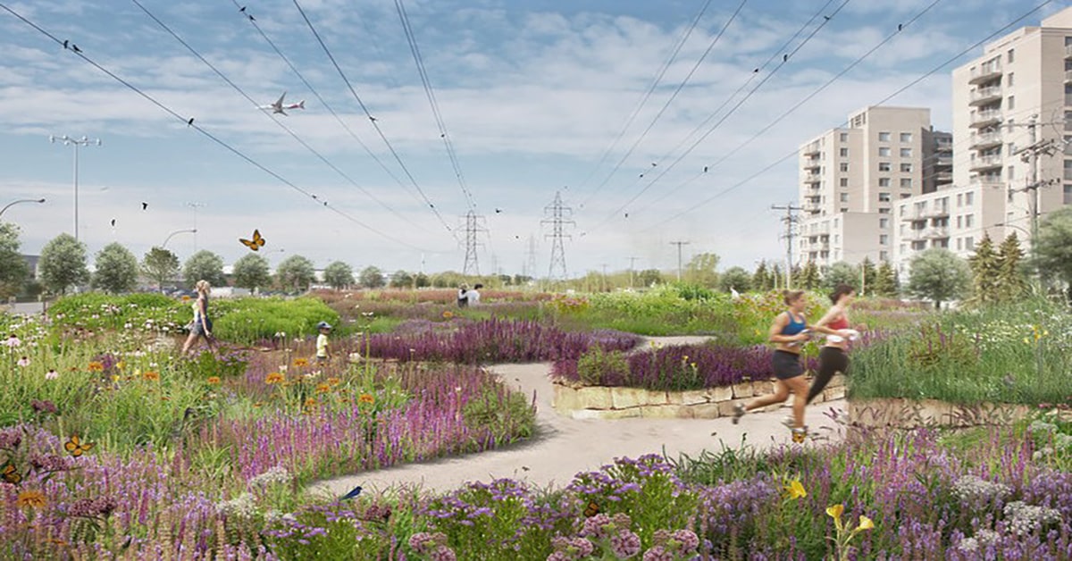 A biodiversity corridor for Montreal