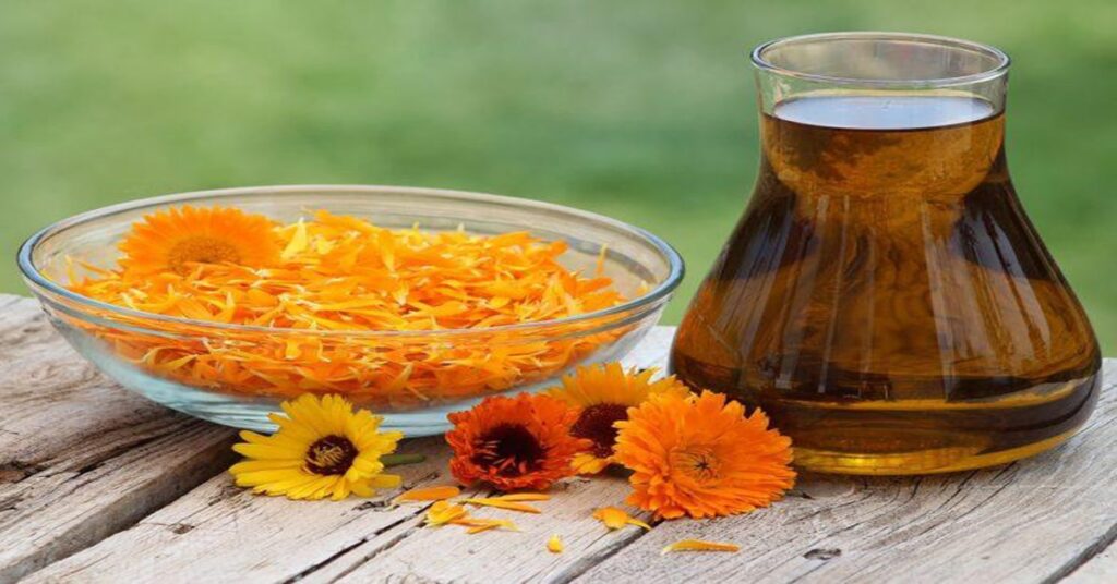 What is Calendula and why Earth to Body add it to skin products?