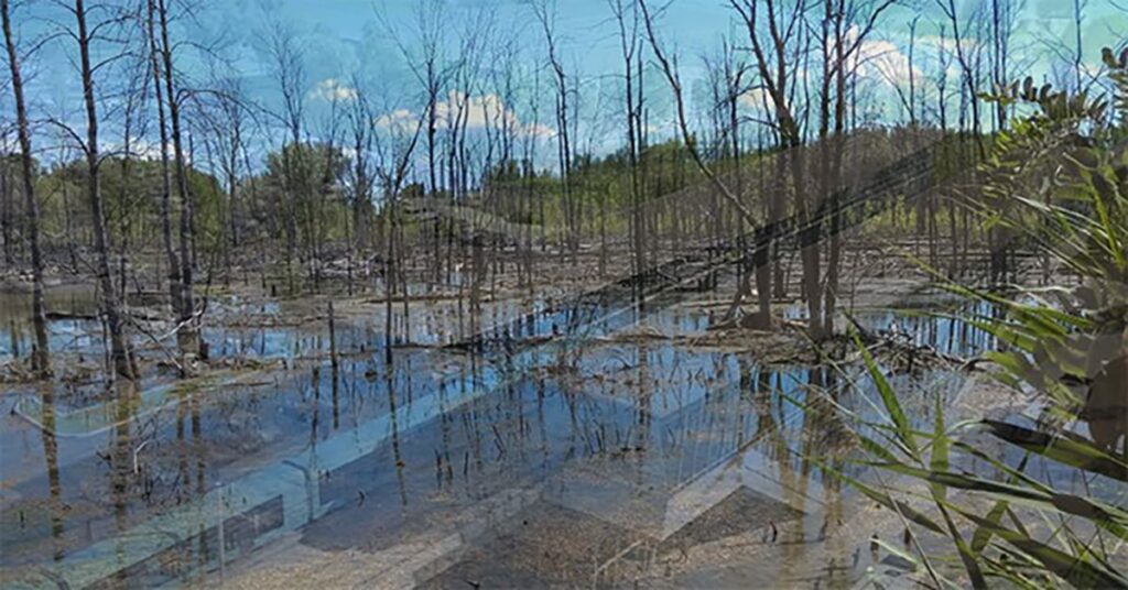 REM’s approach to environmental concerns