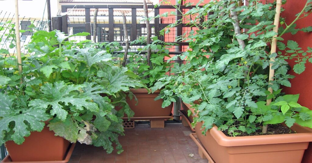 Earth Day balcony gardens