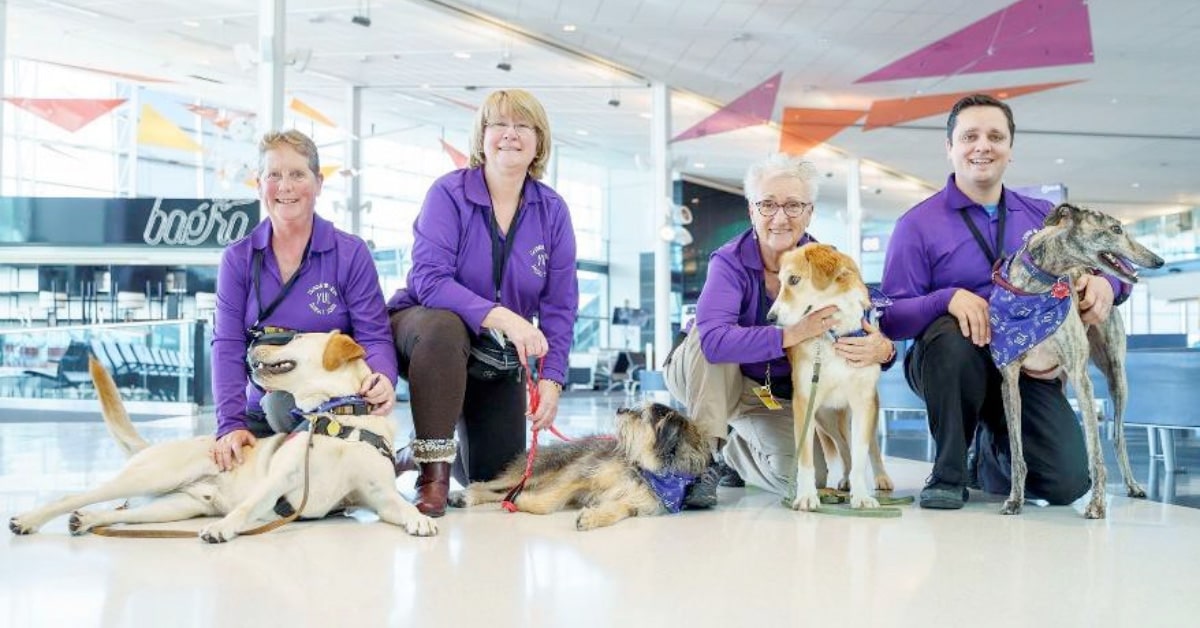 Pet squad at YUL