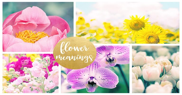 What do flowers symbolize – Including their hidden meaning