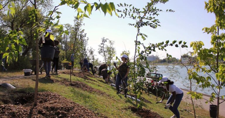 Parc Jean Drapeau adding more green