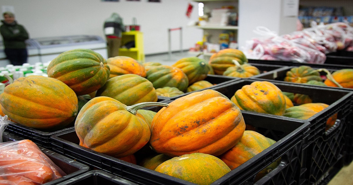 Sun Youth feeds people