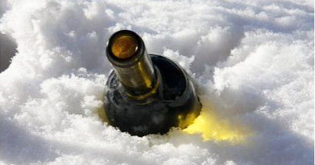 Best winter white wines