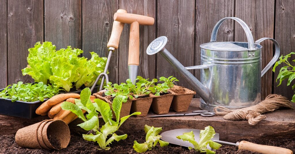 How gardening is like gambling