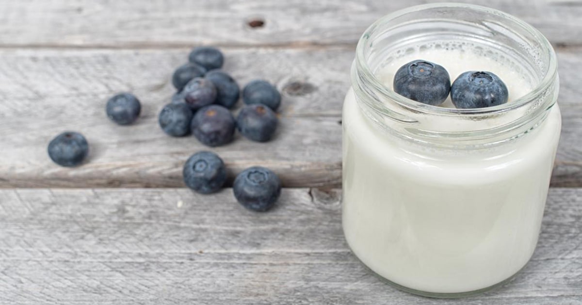 probiotic yogurt