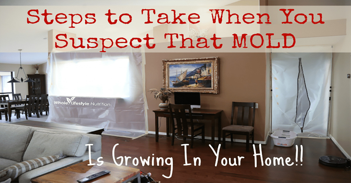 increased number of mold issues