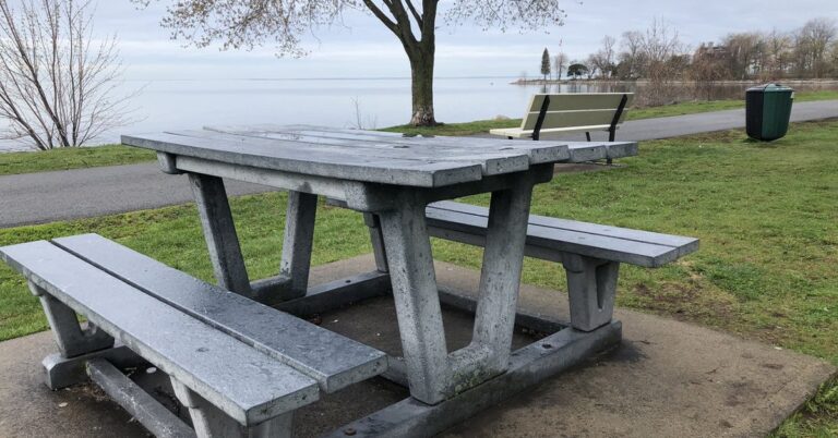 Dorval picnic table reservation