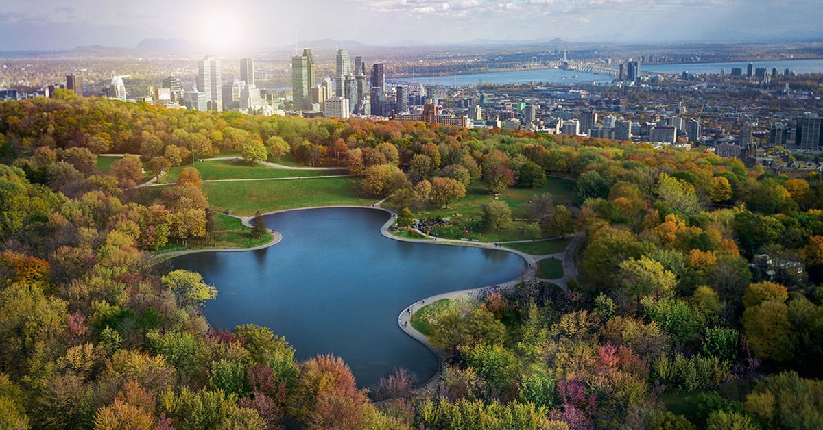 Montreal-Based Start-Up