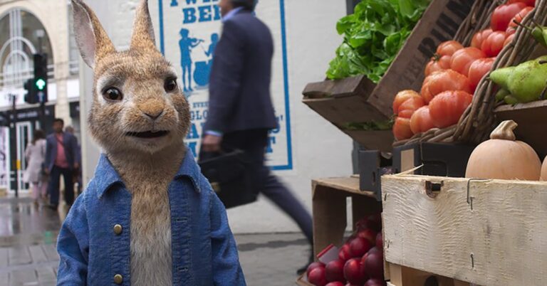 PETER RABBIT 2