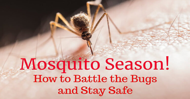 mosquitoes repellant