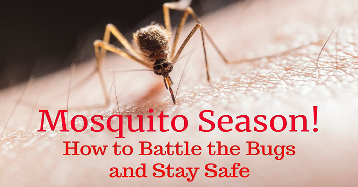 mosquitoes repellant