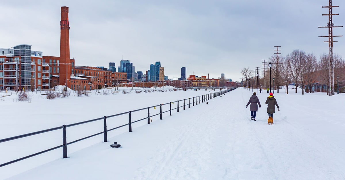 Lachine Canal groomed paths