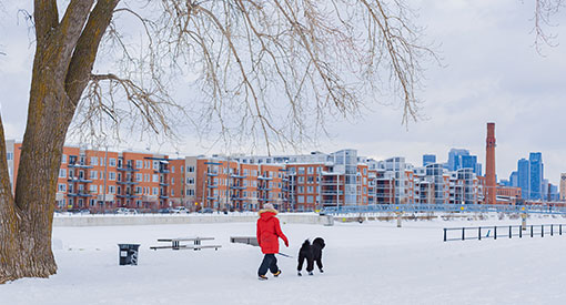 Lachine Canal winter activities