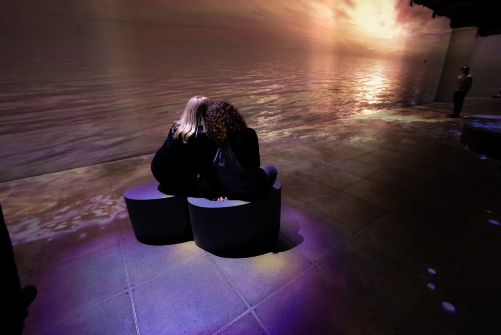 A new immersive exhibition in Montreal called Transformé