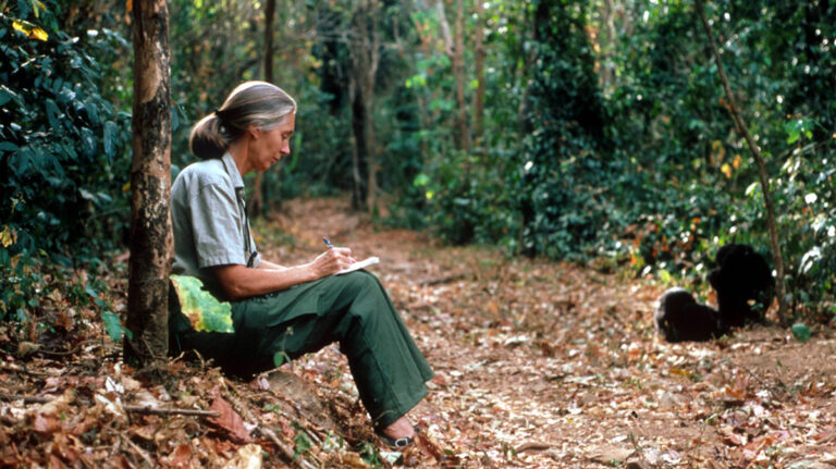 Jane Goodall