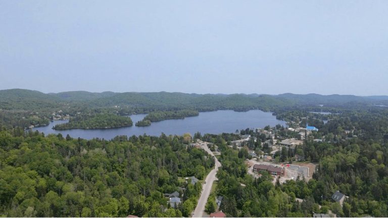 How Laurentians Agency Cassiopea Challenges Big City Web Marketing