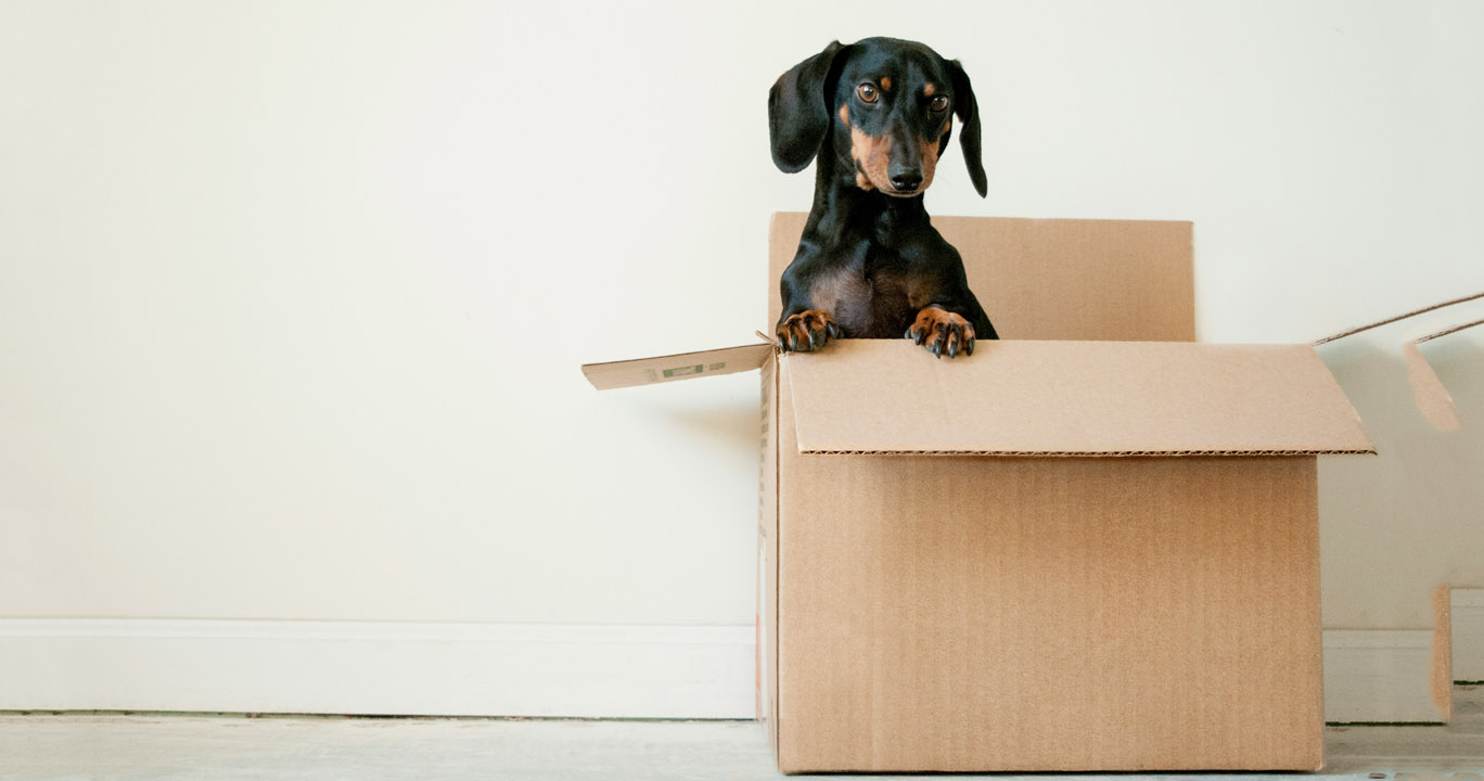 The Hidden Costs of Moving