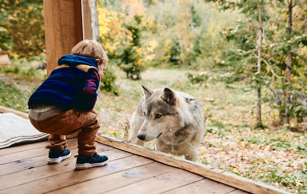 Parc Omega has successful summer