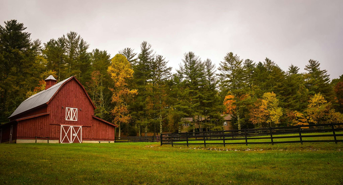 How to Outsource Link Building Without Risking Your SEO: A Guide for Farm and Animal Organizations