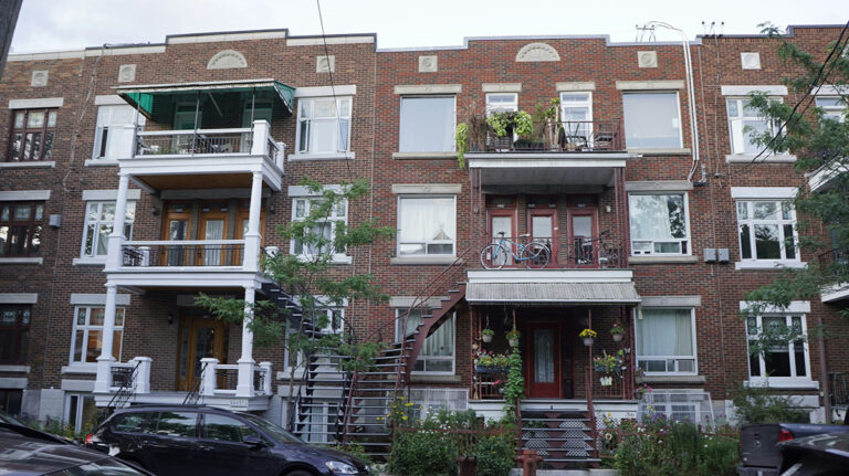 Bed bugs in Montreal apartments: Inspect the unit before July 1 moving day