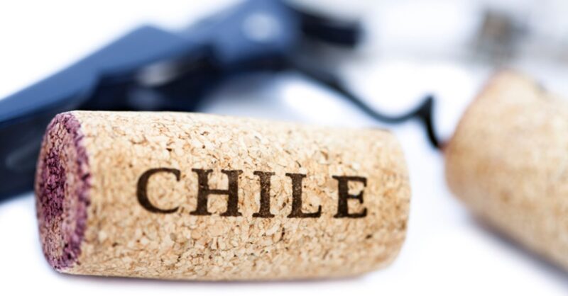 Chilean-wines-to-try-min