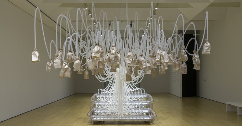 GLH7824_PhotoGuyLHeureux-min