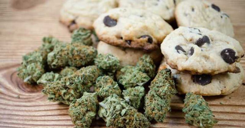 shopping for marijuana seeds