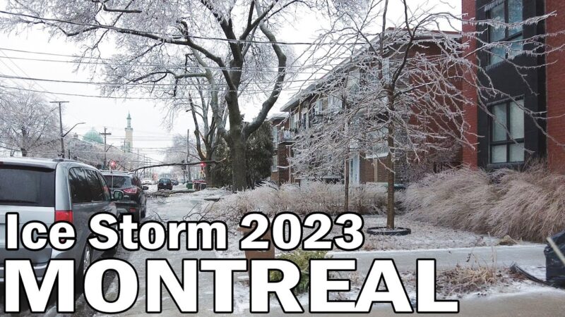 Ice Storm 2023