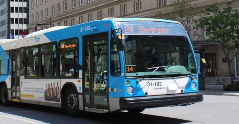 STM-student-jobs-min