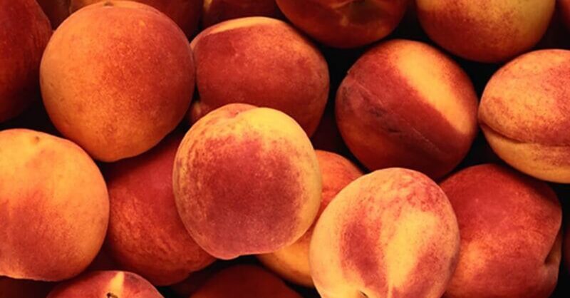 Salmonella-outbreak-linked-to-peaches-min
