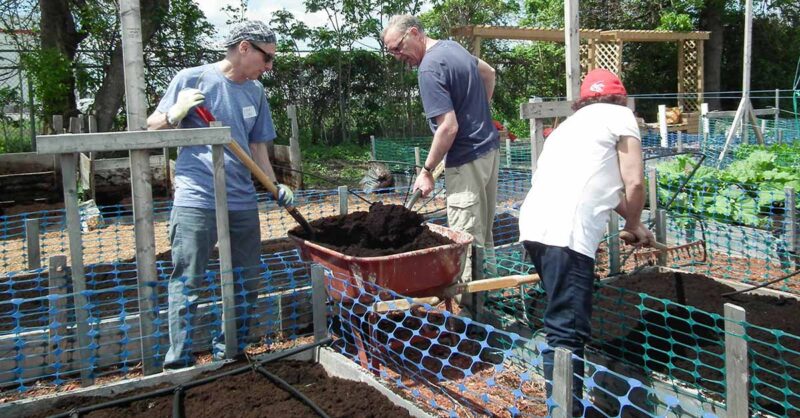 Sun Youth urban garden