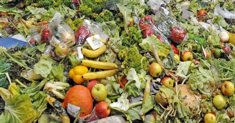 Supermarket-Food-Waste-min
