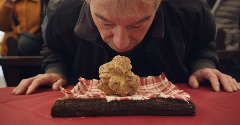 ] The precious truffle