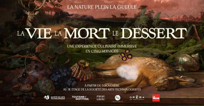 VMD_CampagneMETA_Horizontal-min