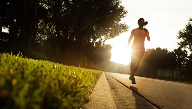 healthy-body-healthy-mind-sm1