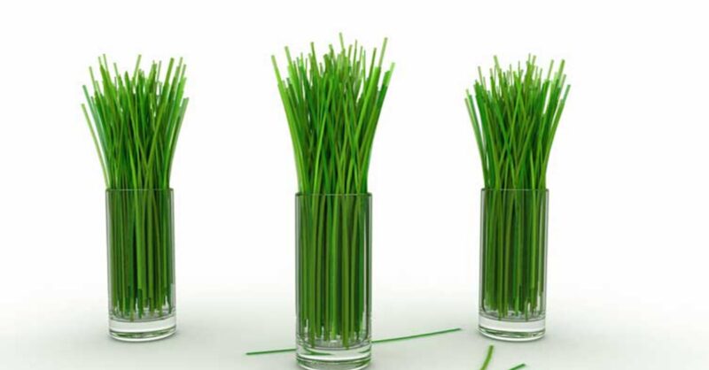 lemongrass-health-benefits-min