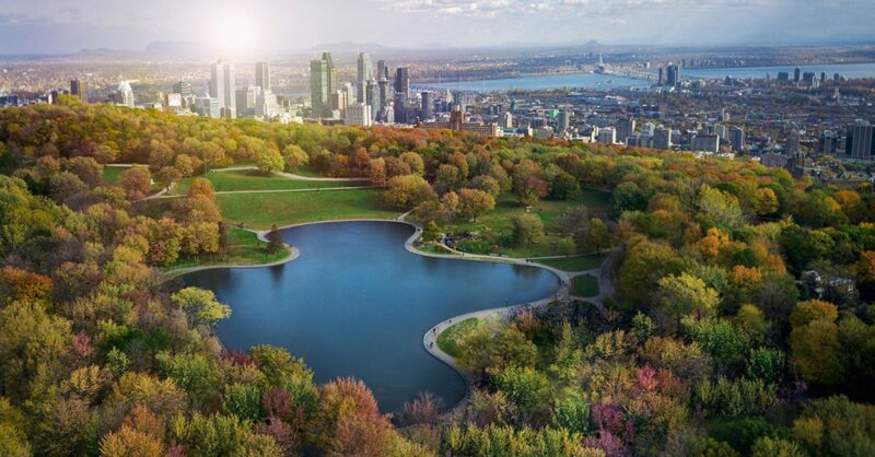 Montreal-Based Start-Up